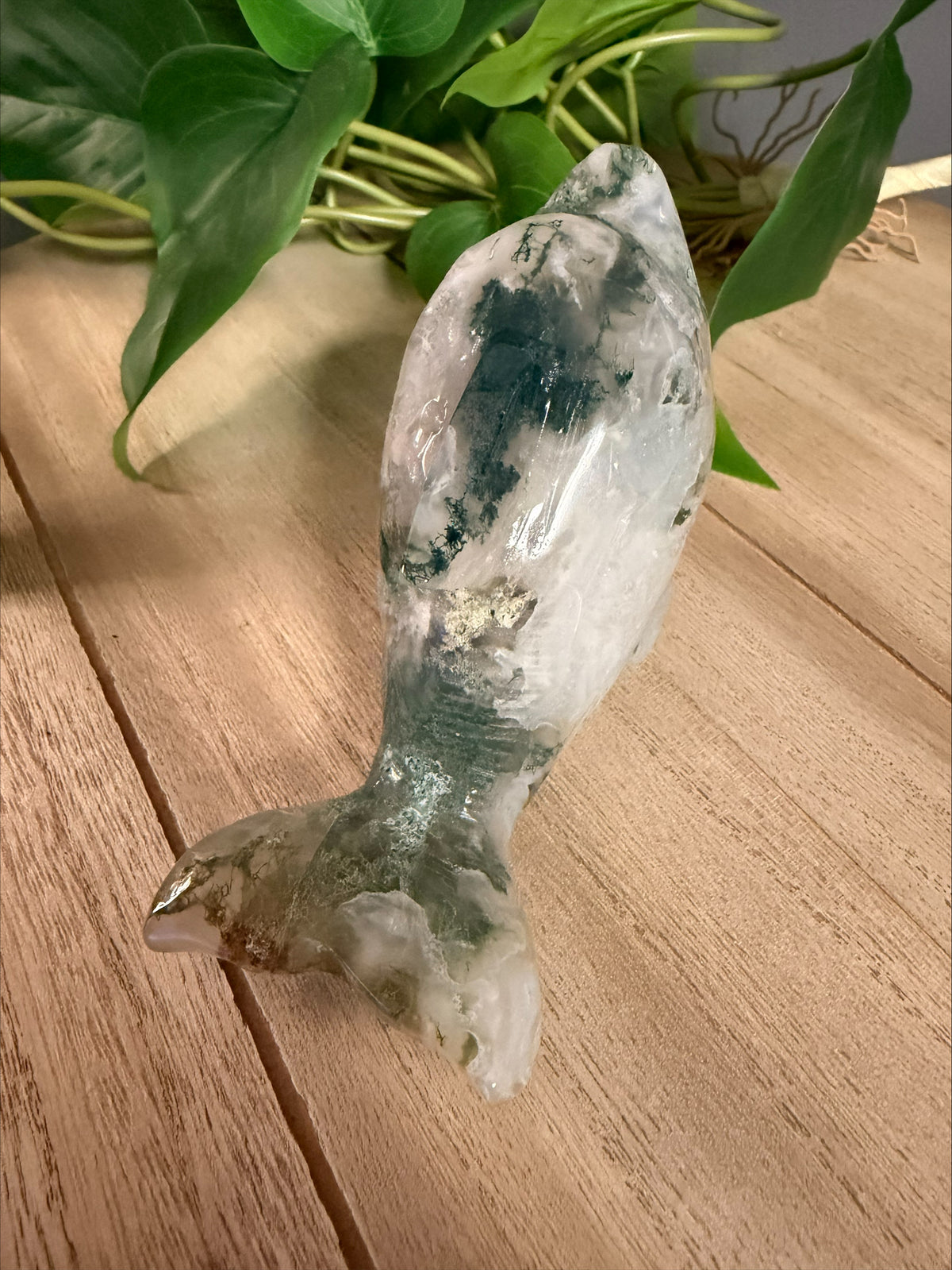 Moss Agate Dolphin