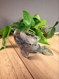 Moss Agate Dolphin