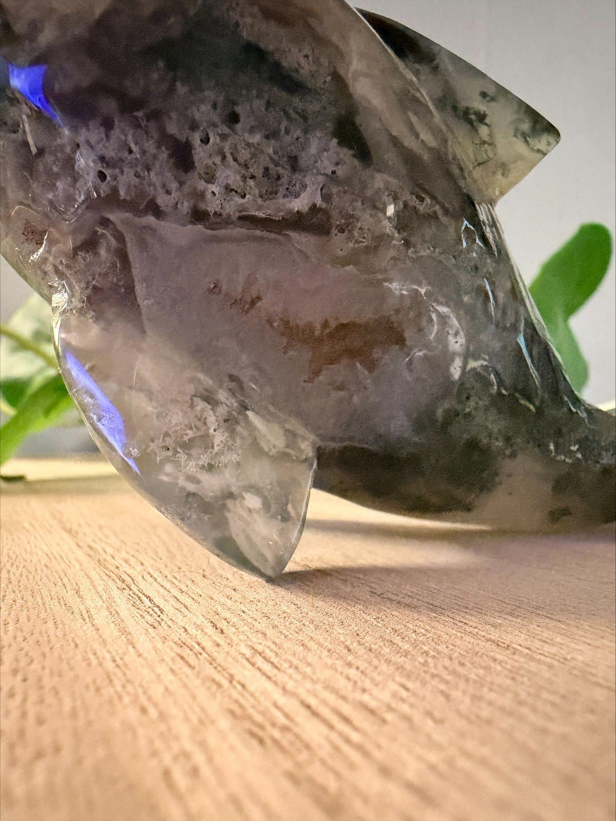 Moss Agate Dolphin