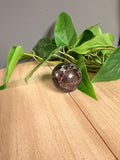Polished Garnet Sphere