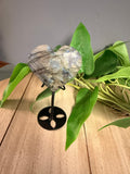 Labradorite Heart w/ Stand