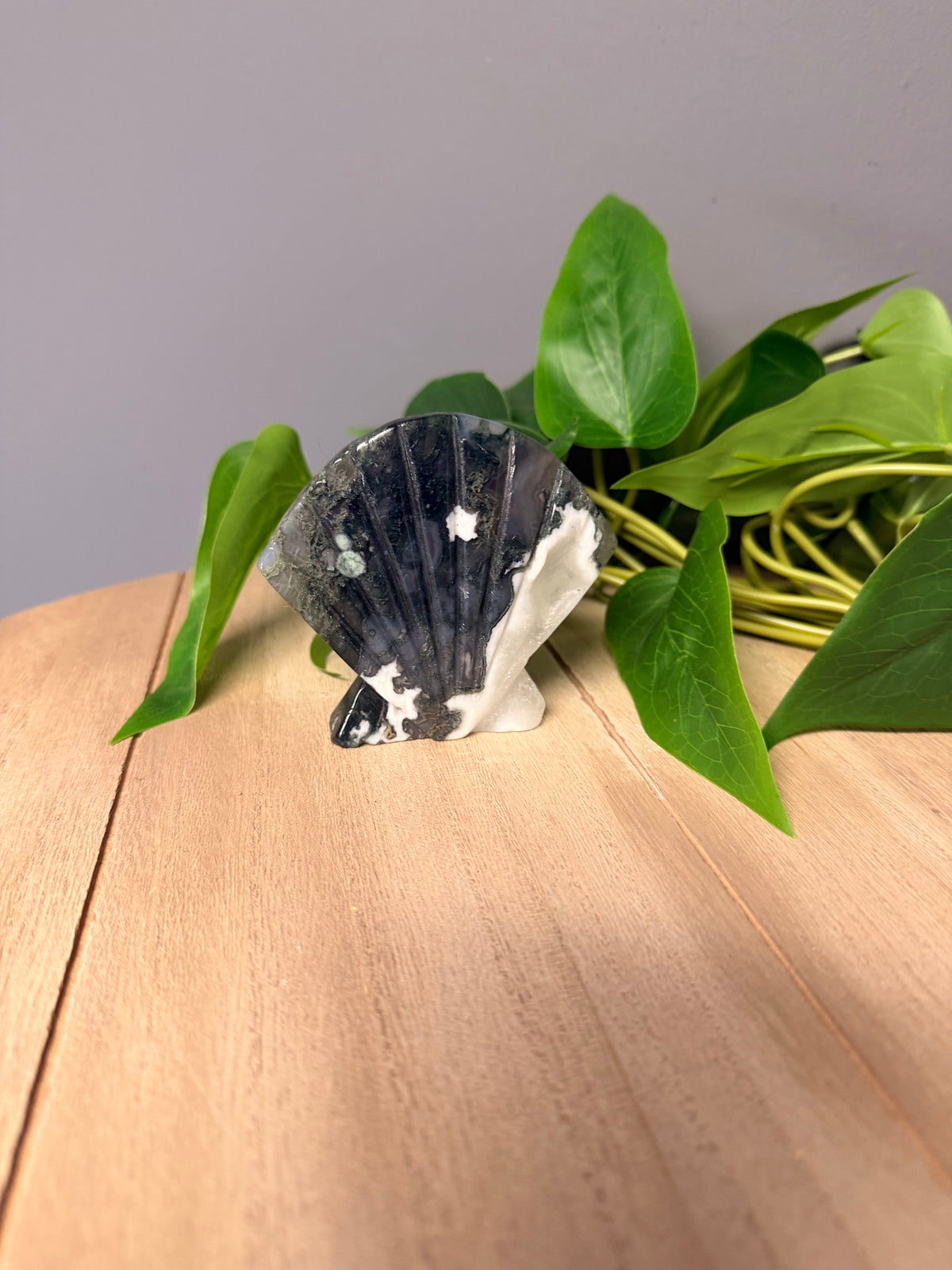 Moss Agate Sea Shell
