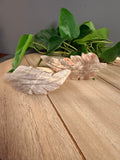 Moonstone Feathers