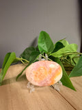 Pink Aragonite w/ Stand
