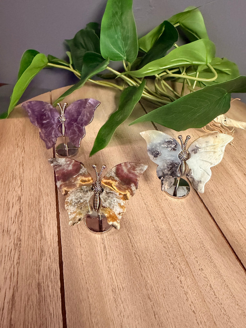 Butterfly Wings