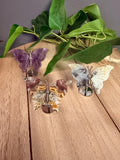 Butterfly Wings