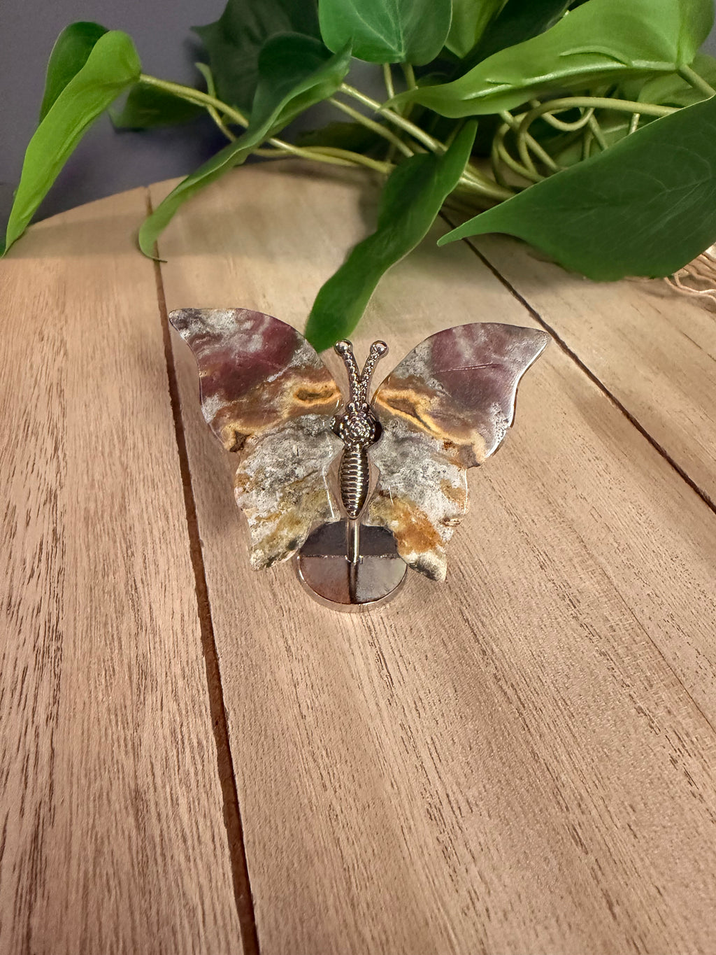 Butterfly Wings