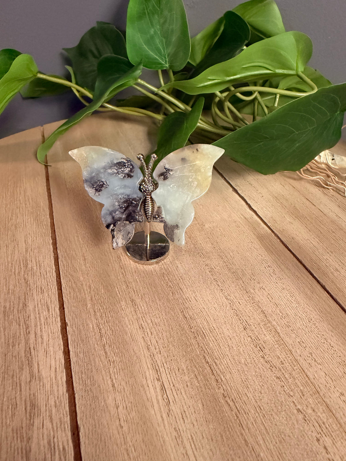 Butterfly Wings