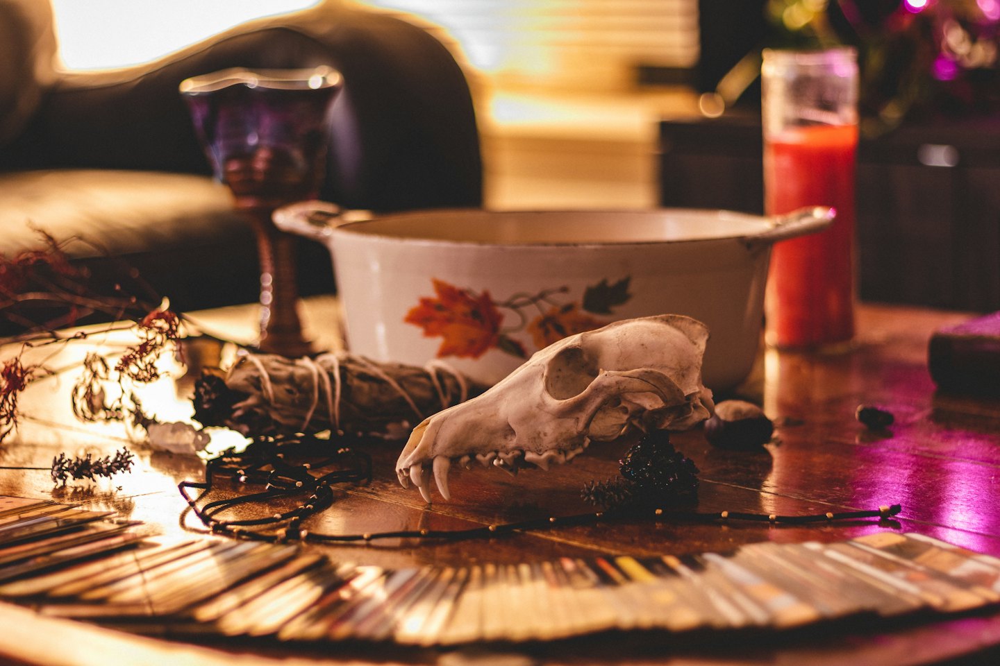 Skull, sage, and tarot cards arranged for a ritual.